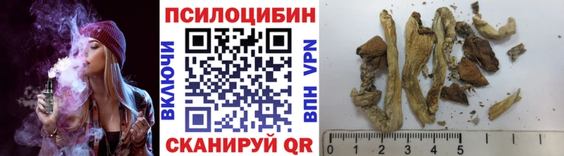 купить наркоту  Олёкминск  Галлюциногенные грибы Psilocybine cubensis 
